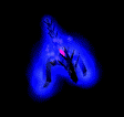 Niick's Avatar
