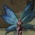 [ucup]toolike's Avatar