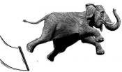 gajah_salto's Avatar