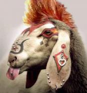 InnocentPeople's Avatar