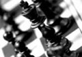 chessboard's Avatar