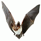 k4mpr3t's Avatar
