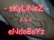 skylinez's Avatar