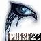 puLse23's Avatar